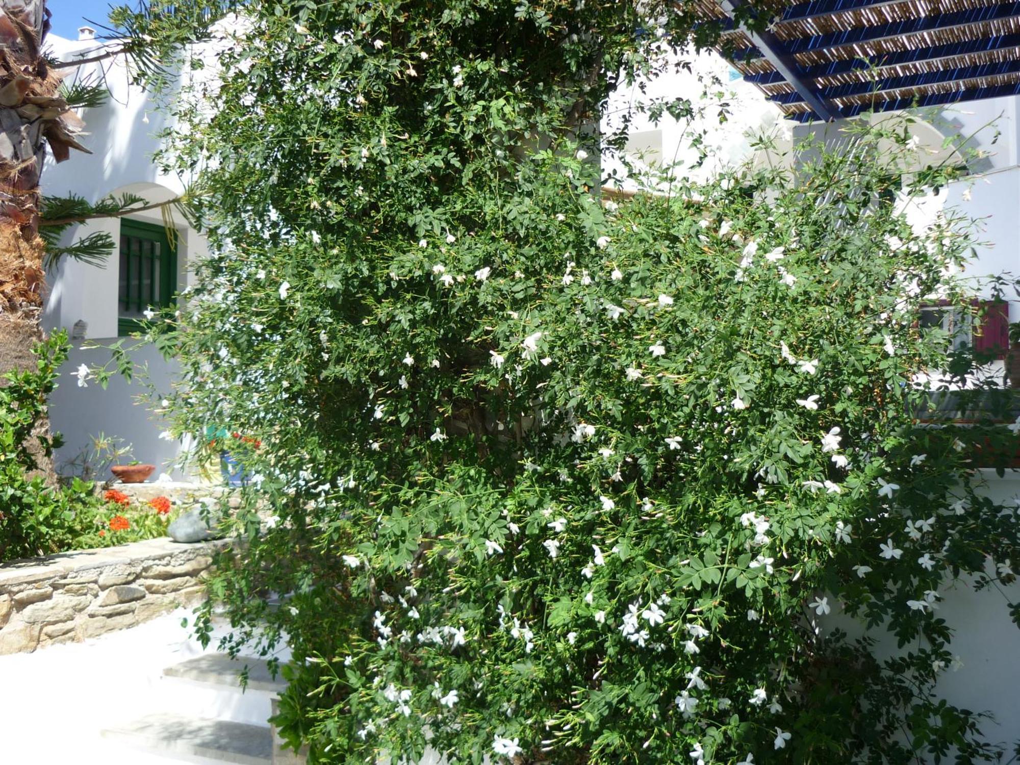 Apartment Porto Vlastos
